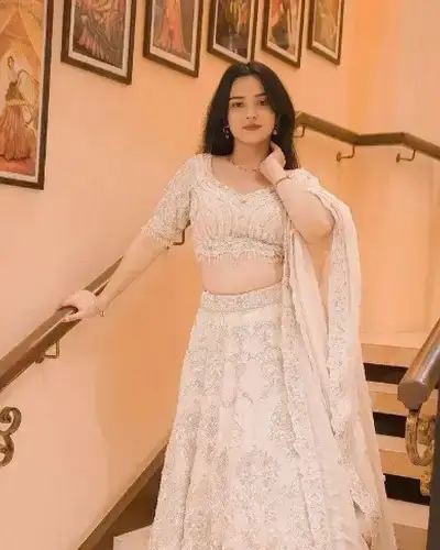 Escort Service In Panch Pakhadi